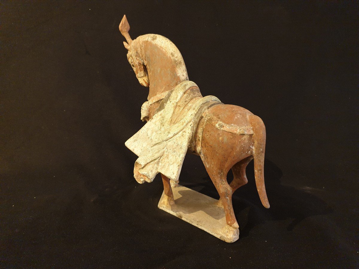 China - Horse Wei Period (356 - 557) - 32 Cm - Certificate-photo-5