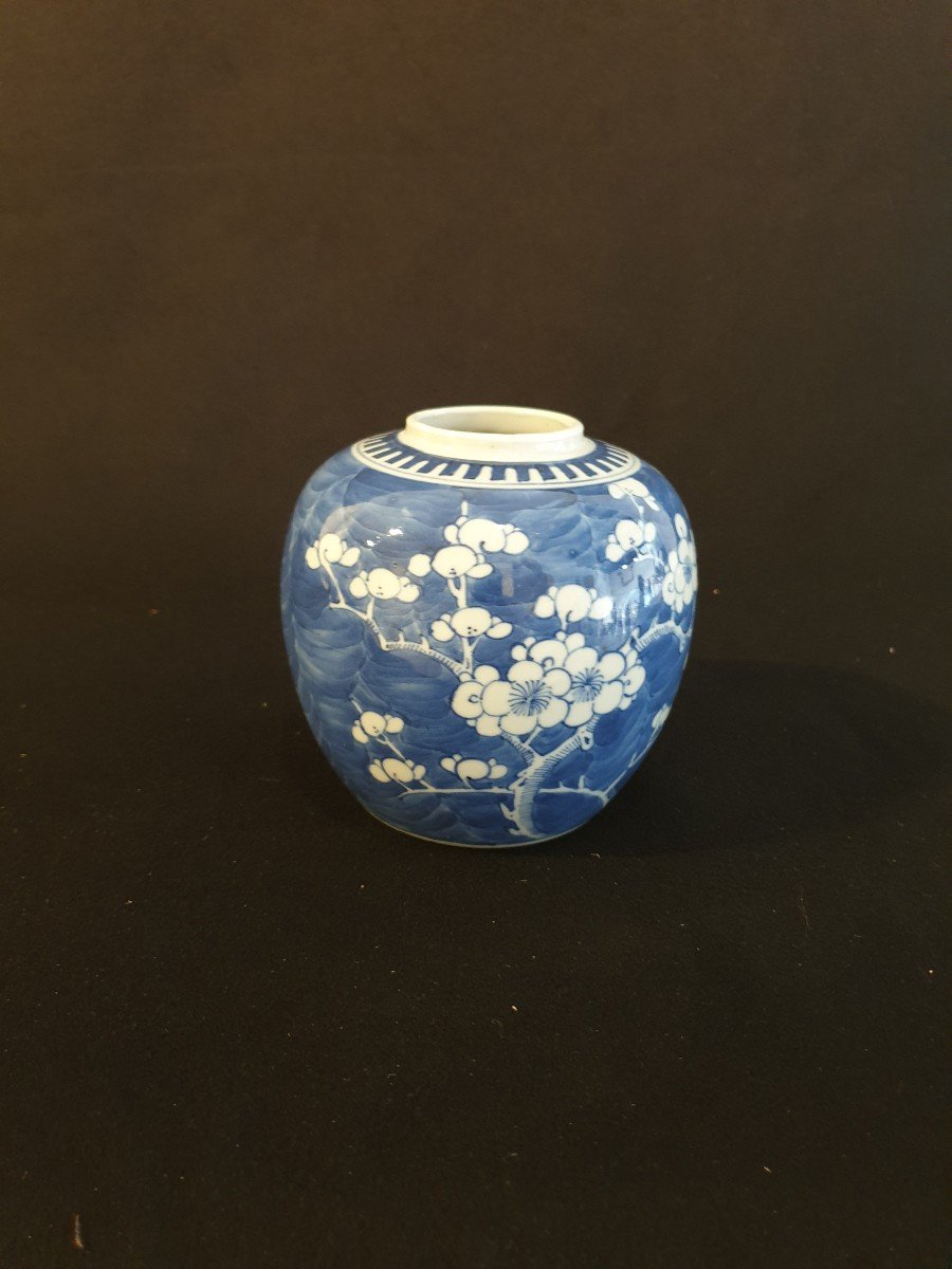 Chine - Pôt Bleu Et Blanc à Décor De Prunier - XXème - 12 Cm-photo-3