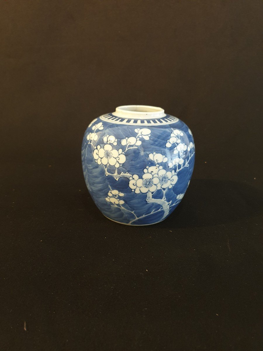 Chine - Pôt Bleu Et Blanc à Décor De Prunier - XXème - 12 Cm