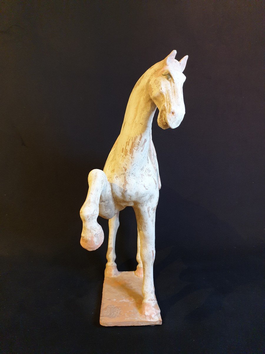 Large Tang Dynasty Horse - 47.5 Cm - Certificate-photo-4