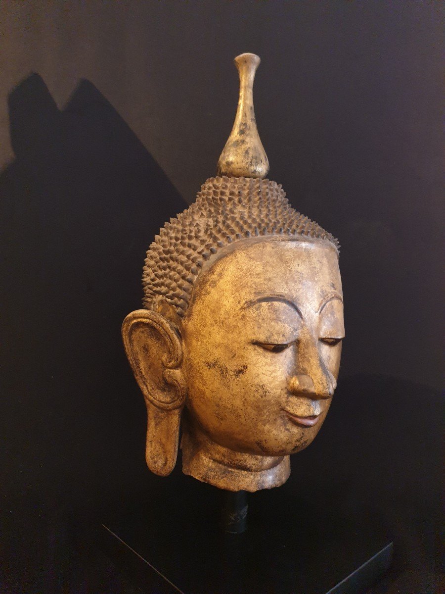 Burma - Buddha Head In Golden Dry Lacquer - 51 Cm-photo-2