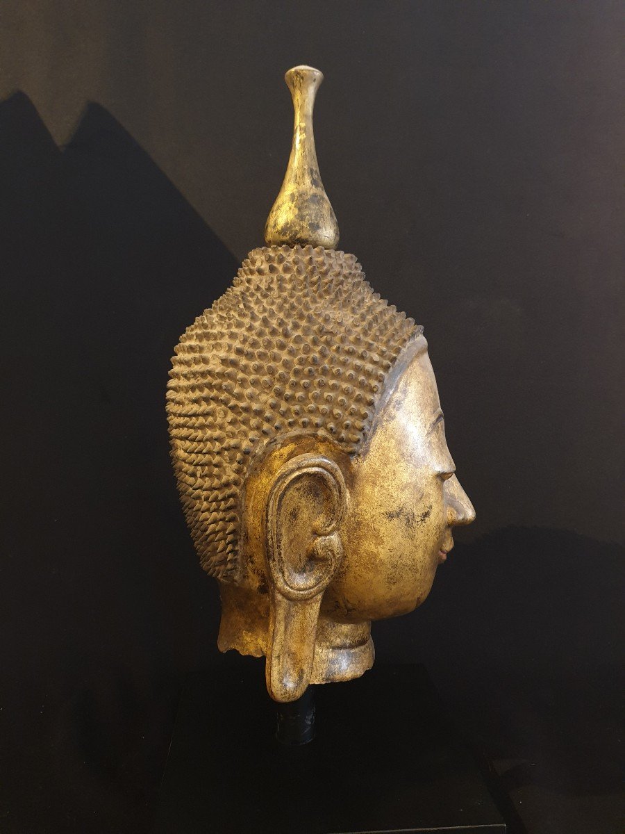 Burma - Buddha Head In Golden Dry Lacquer - 51 Cm-photo-3