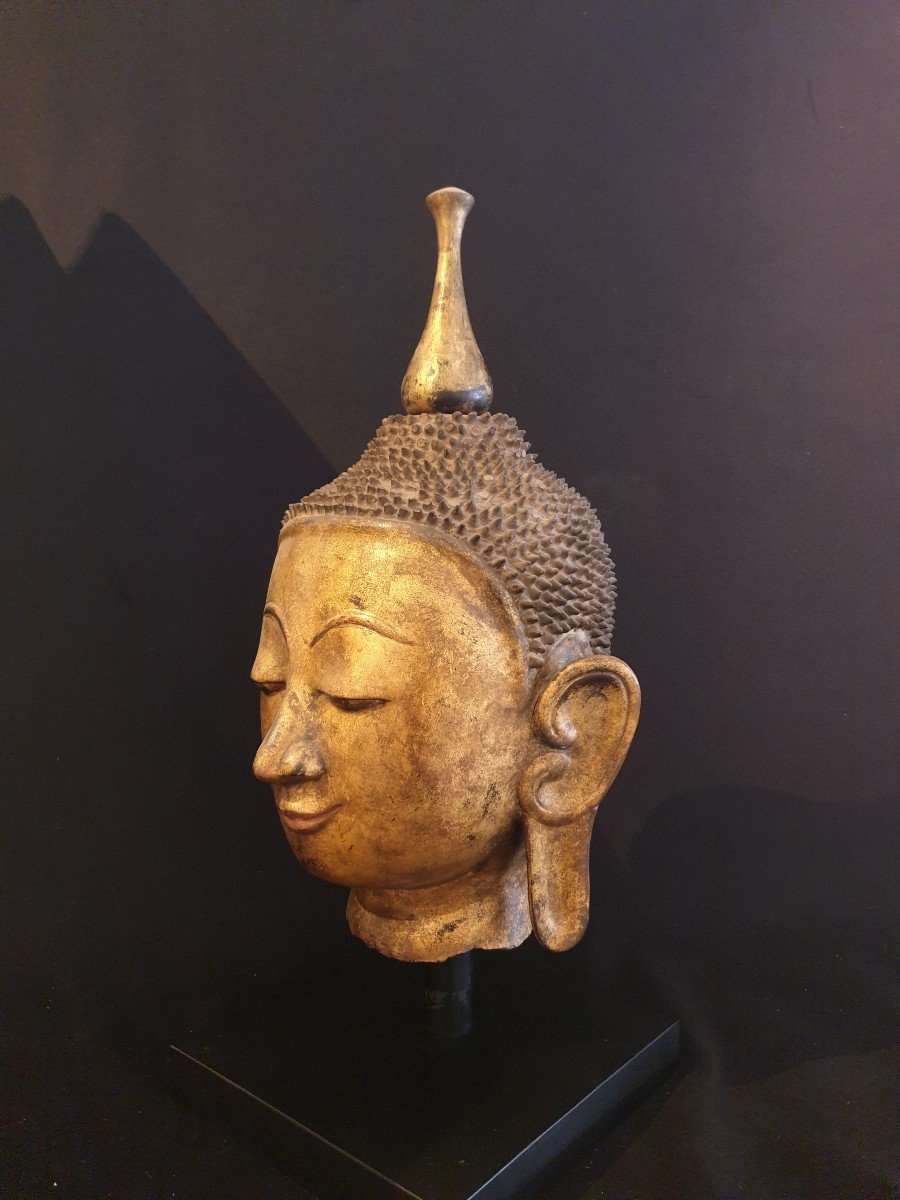 Burma - Buddha Head In Golden Dry Lacquer - 51 Cm-photo-2