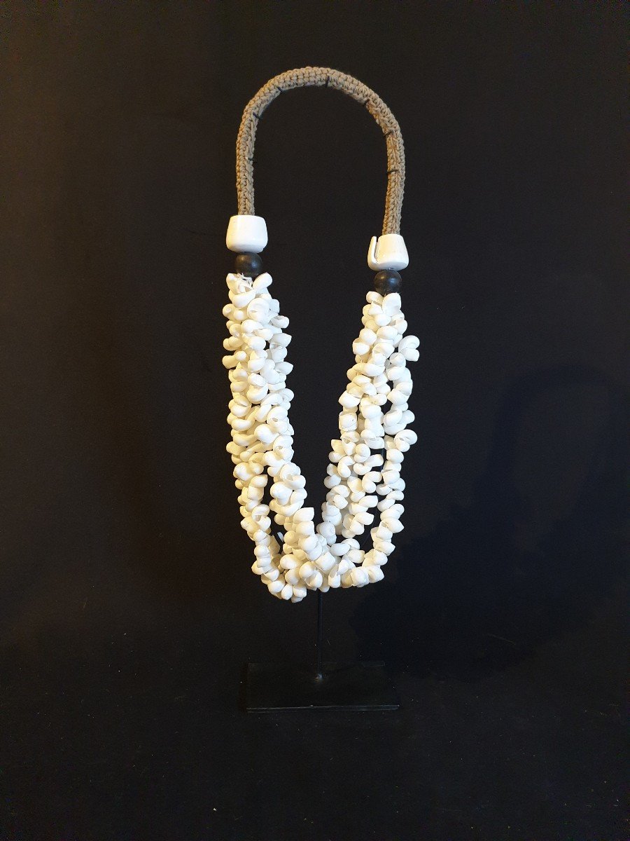 Oceania - Shell Necklace - 63 Cm