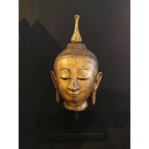 Burma - Buddha Head In Golden Dry Lacquer - 51 Cm