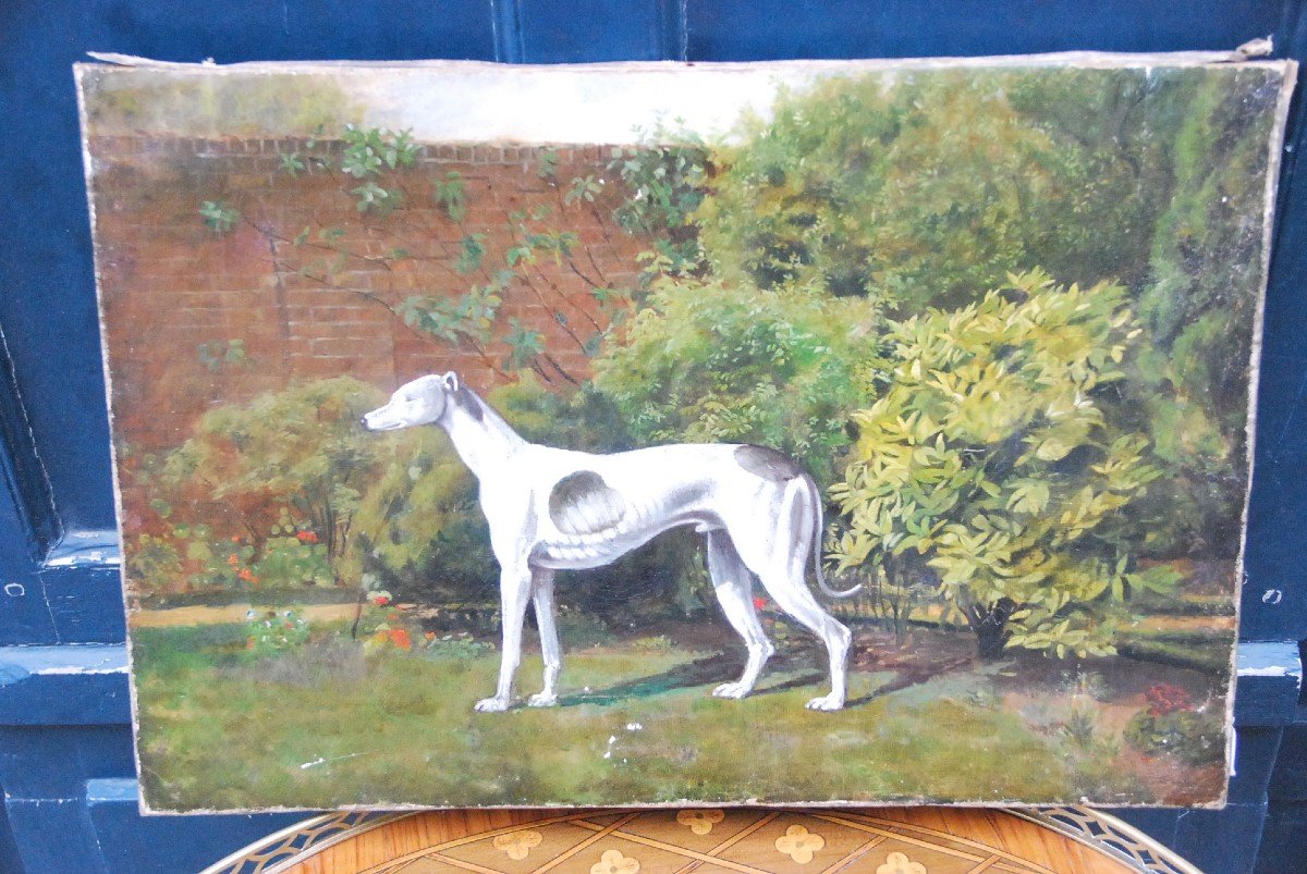 Greyhound Whippet, English School 19th Century-photo-2