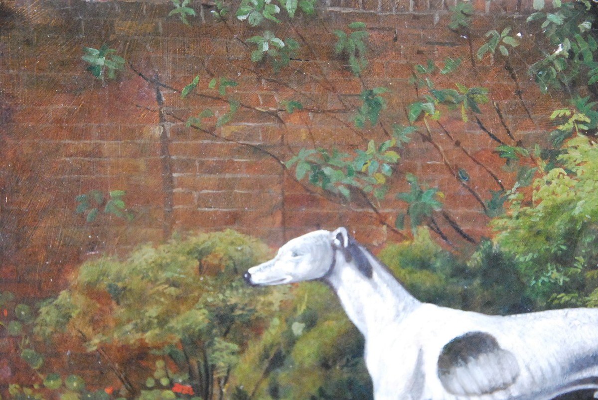 Greyhound Whippet, English School 19th Century-photo-3