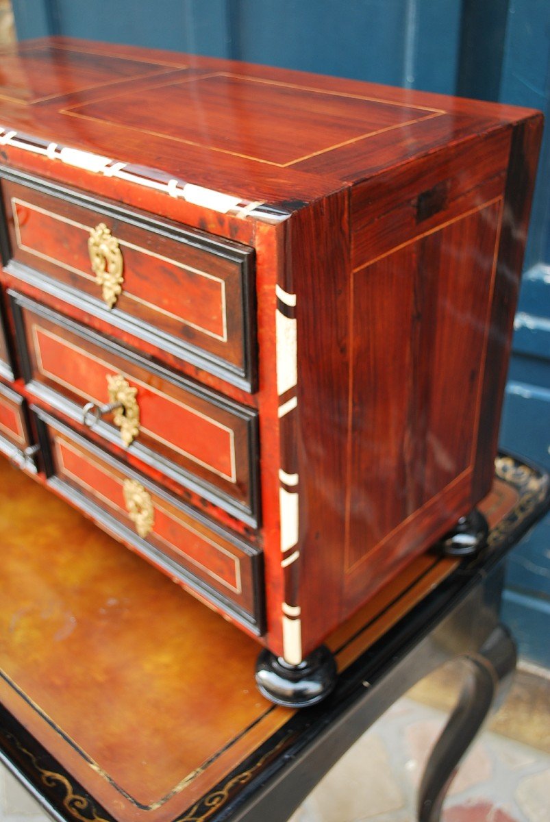 Flanders Cabinet XVII Red Tortoiseshell-photo-4