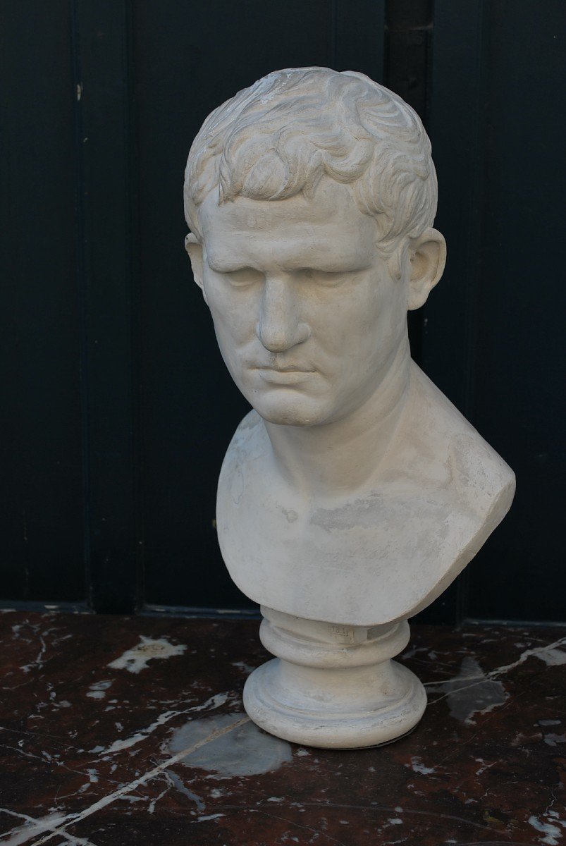 Bust Of Agrippa In Plaster In Antique Taste