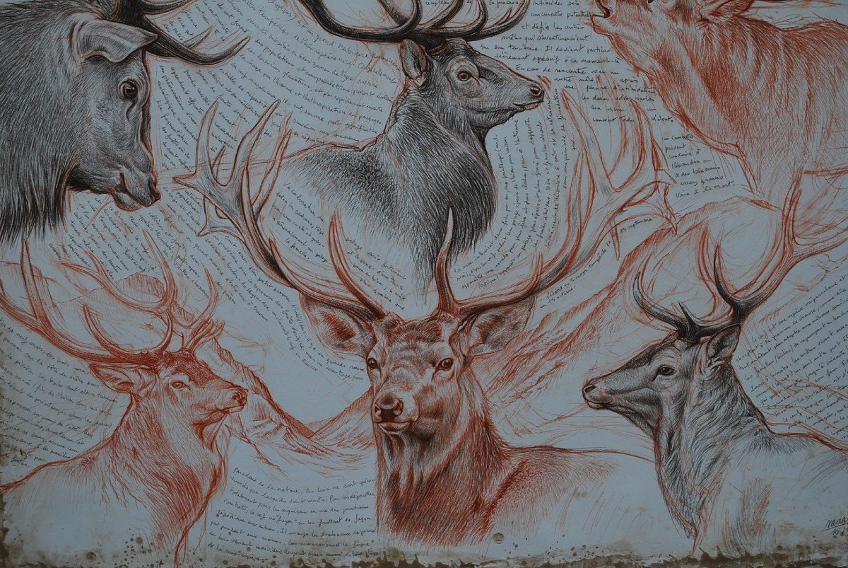 Grande Huile Technique Mixte  Chasse Têtes De Cerfs  Signée De Marcello -photo-4