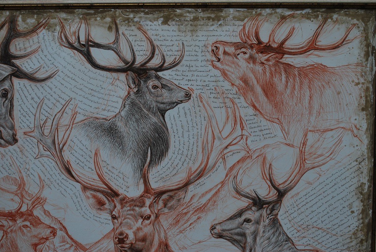 Grande Huile Technique Mixte  Chasse Têtes De Cerfs  Signée De Marcello -photo-2