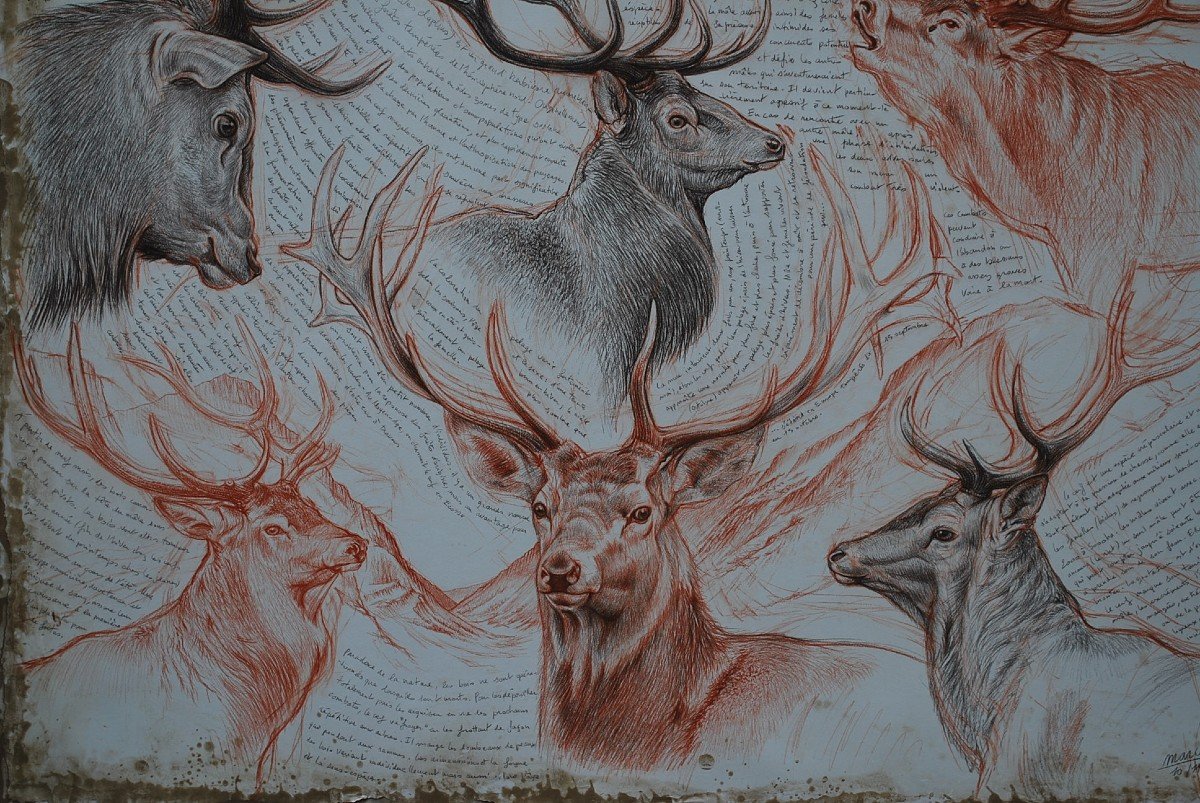 Grande Huile Technique Mixte  Chasse Têtes De Cerfs  Signée De Marcello 