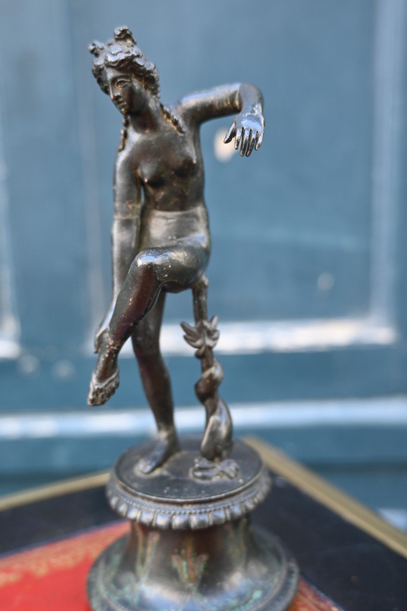 Aphrodite After The Antique Bronze -photo-3