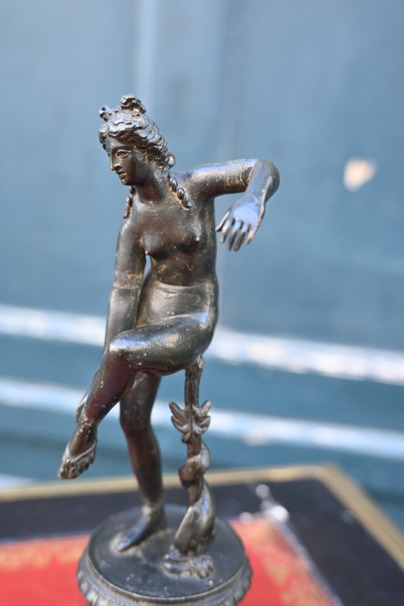 Aphrodite After The Antique Bronze -photo-7