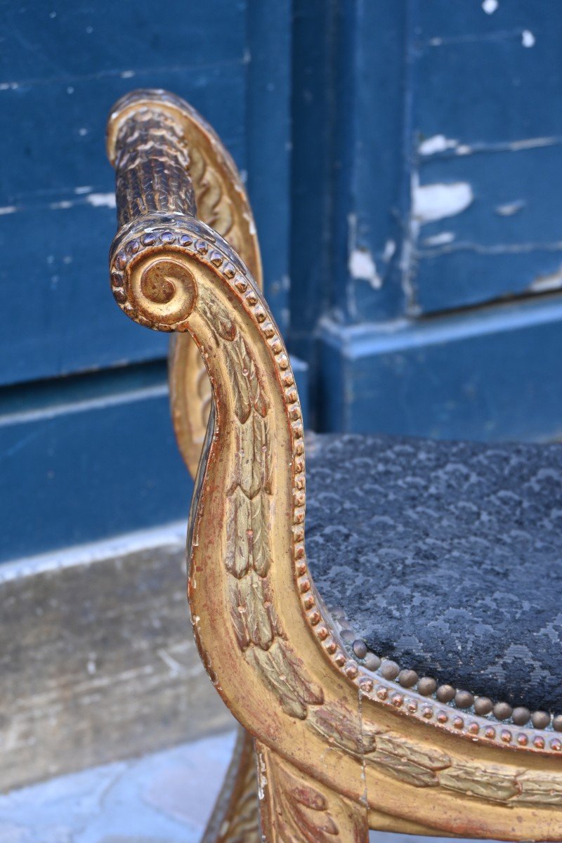 Curule Stool In Gilded Wood From The Directoire Period-photo-6