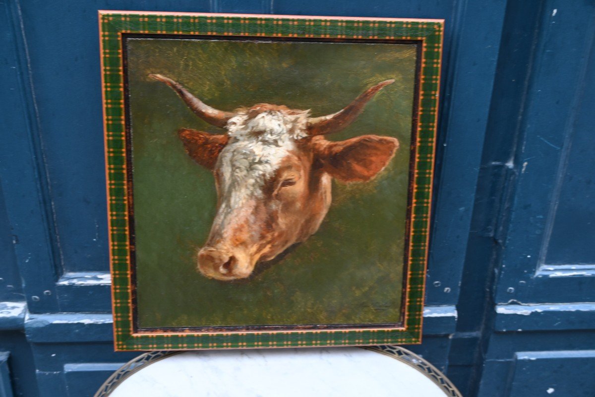 Etude De Tête  De Vache , Huile Signée De Peyrol Bonheur -photo-1