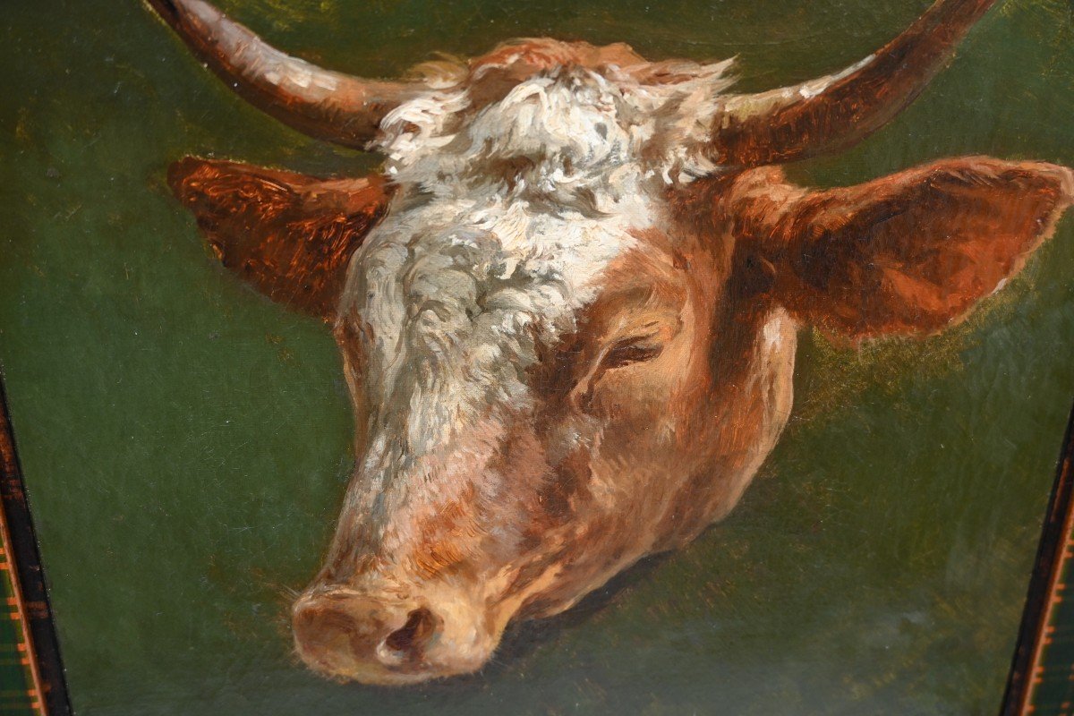 Etude De Tête  De Vache , Huile Signée De Peyrol Bonheur 