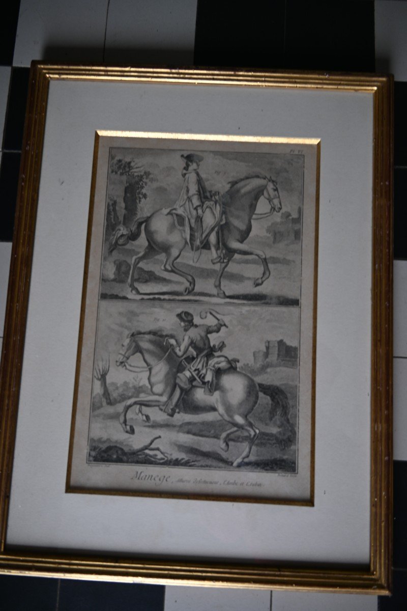 Suite De Trois Gravures Chevaux Et Manège Du XVIII D Après Diderot D Alembert-photo-4