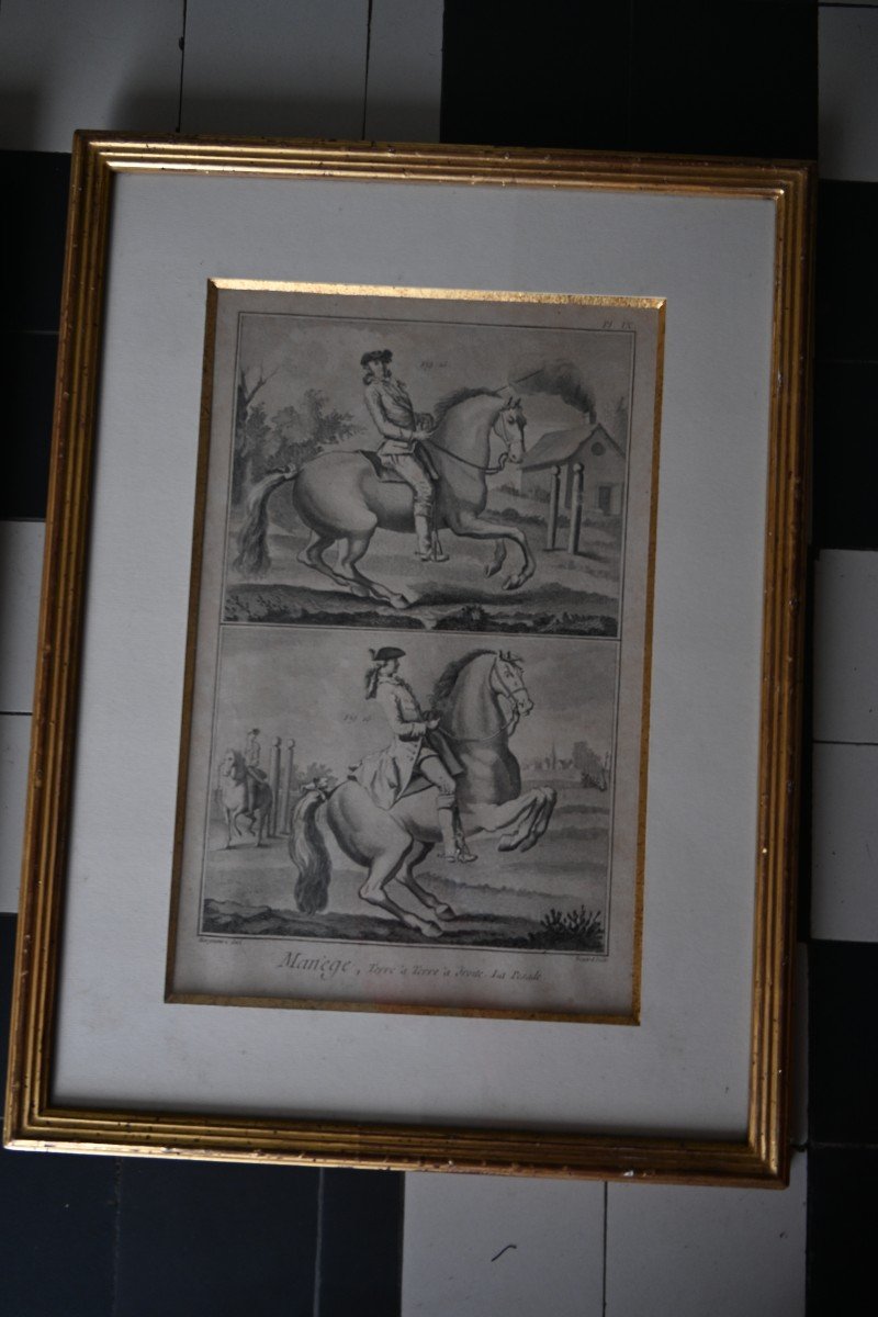 Suite De Trois Gravures Chevaux Et Manège Du XVIII D Après Diderot D Alembert-photo-1