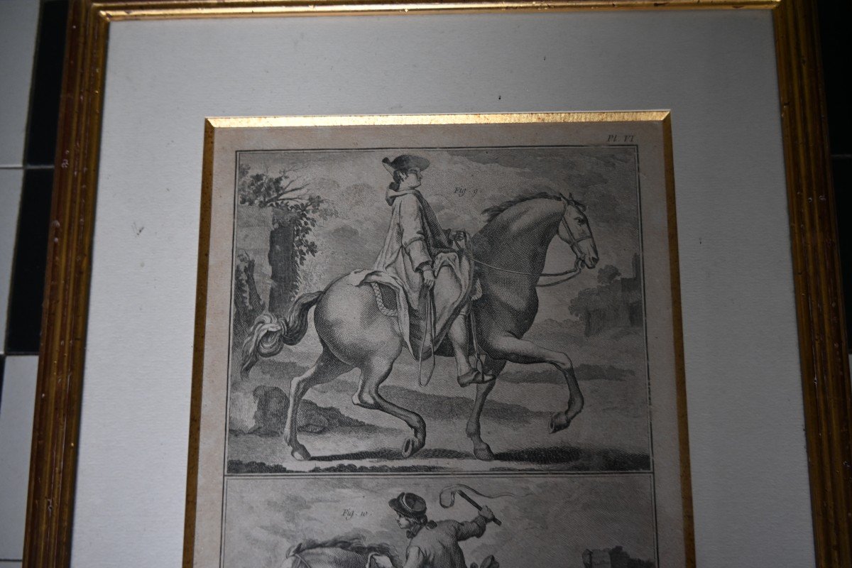 Suite De Trois Gravures Chevaux Et Manège Du XVIII D Après Diderot D Alembert-photo-7