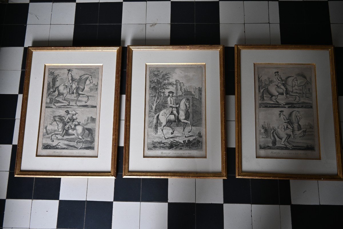 Suite De Trois Gravures Chevaux Et Manège Du XVIII D Après Diderot D Alembert