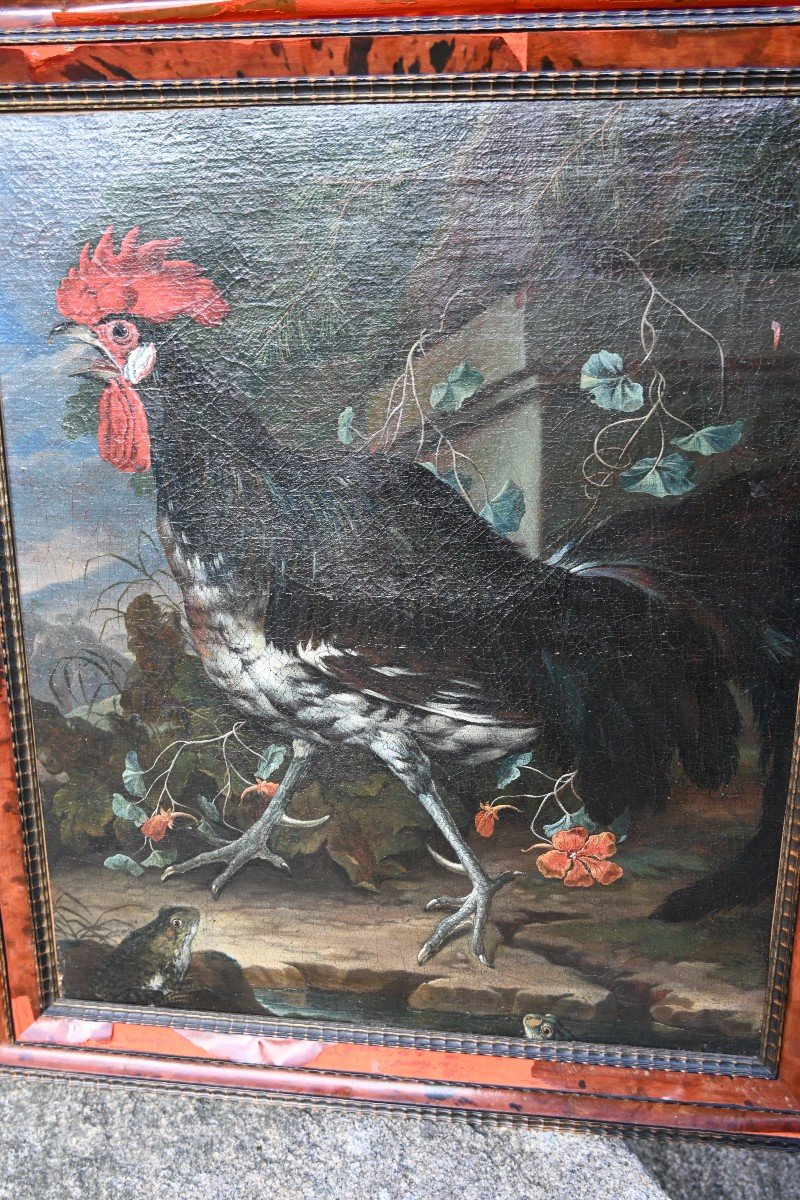 Hen And Rooster, Oils On Canvas, Attributed To David De Coninck XVII-photo-2