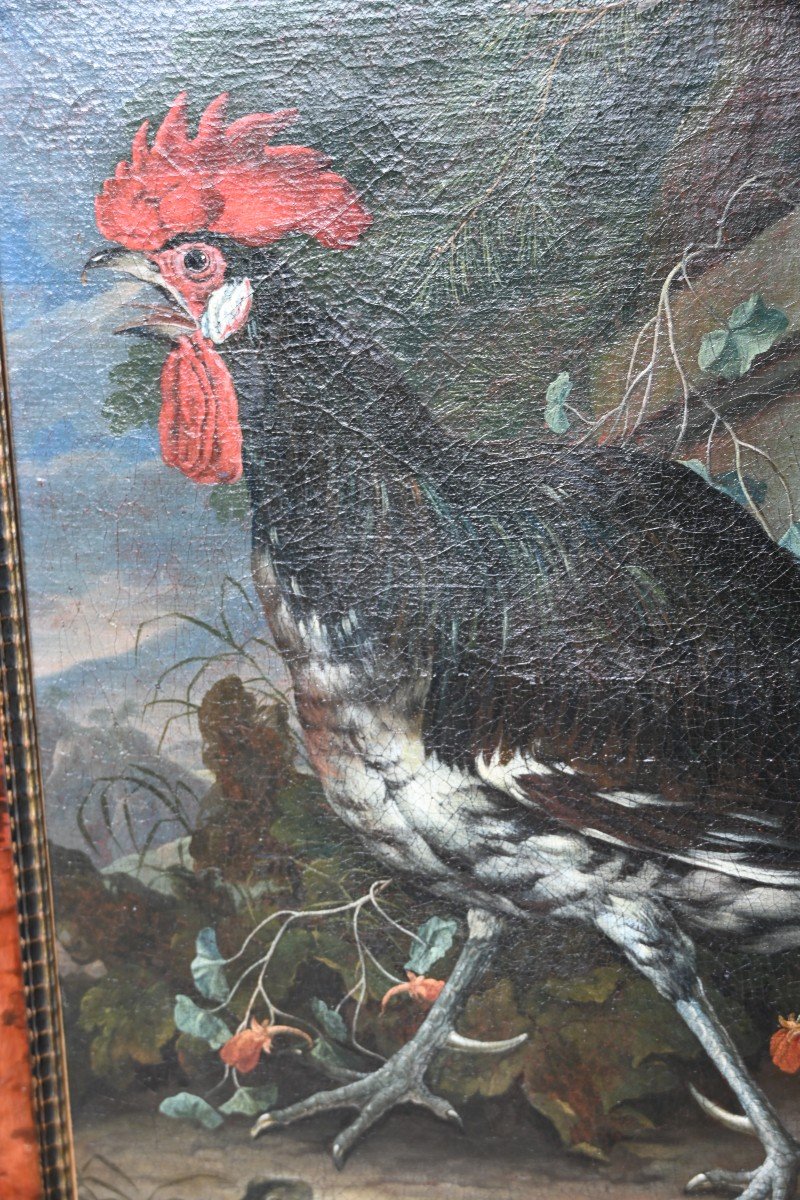 Hen And Rooster, Oils On Canvas, Attributed To David De Coninck XVII-photo-3