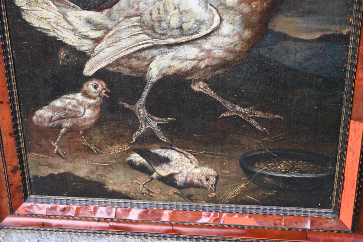 Hen And Rooster, Oils On Canvas, Attributed To David De Coninck XVII-photo-1