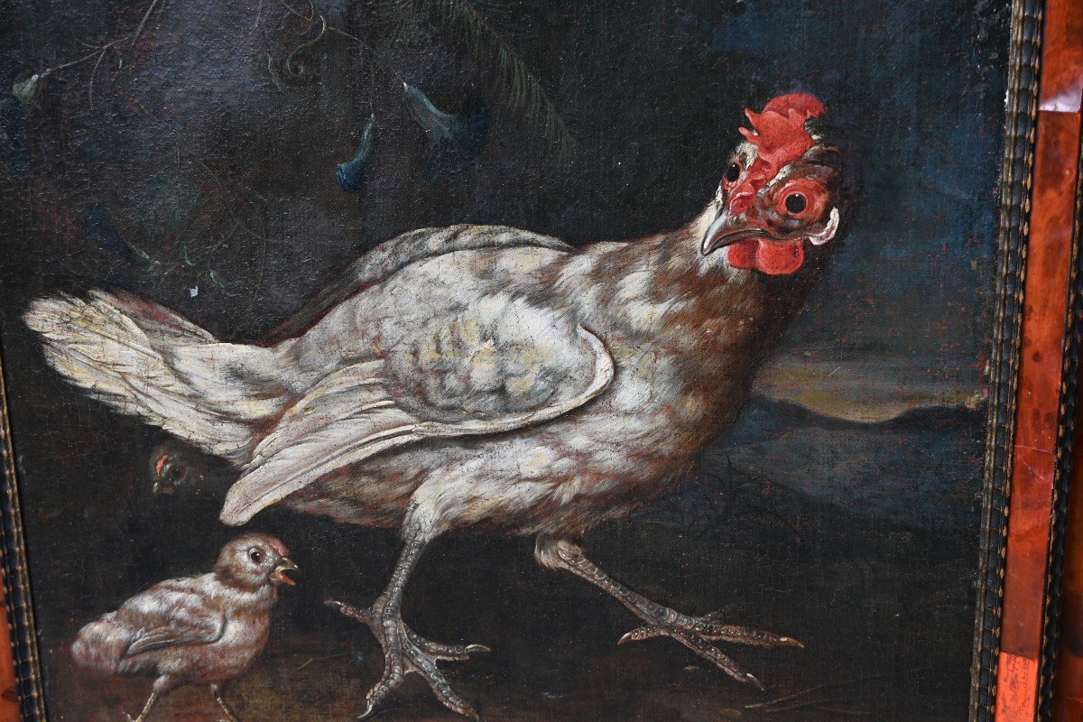 Hen And Rooster, Oils On Canvas, Attributed To David De Coninck XVII-photo-2