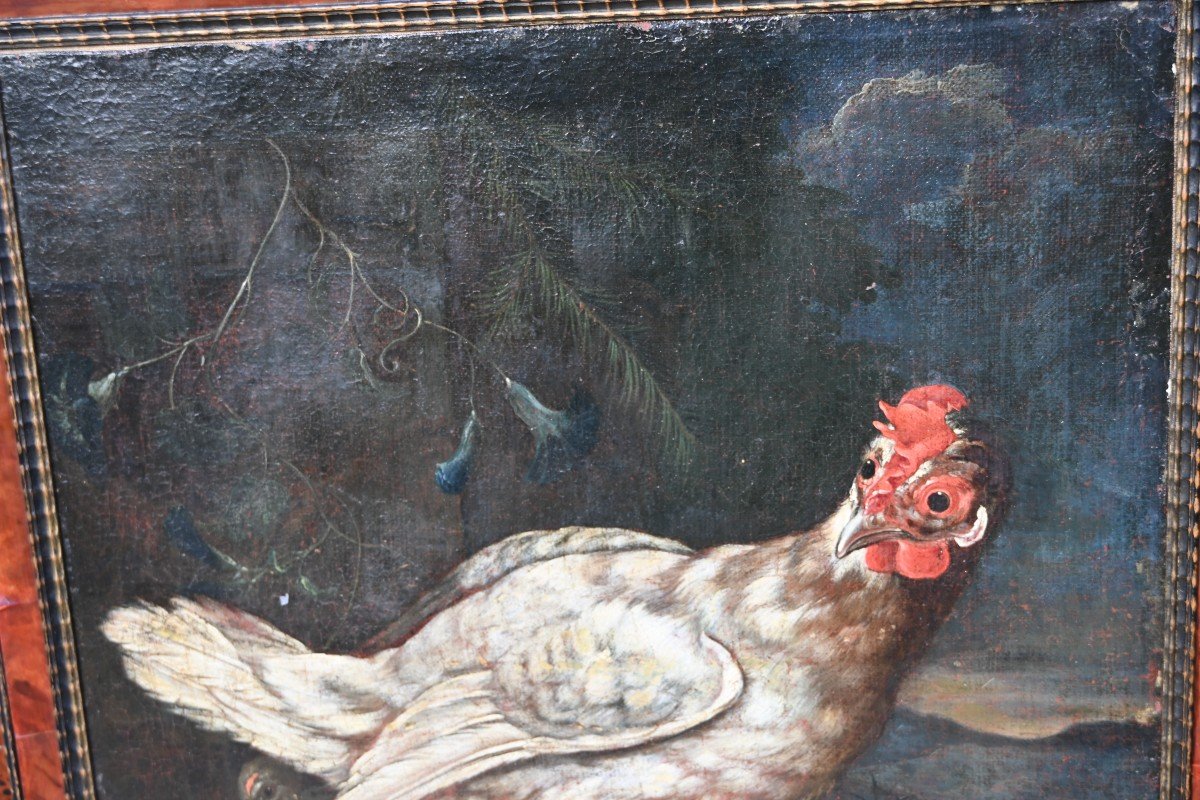 Hen And Rooster, Oils On Canvas, Attributed To David De Coninck XVII-photo-3