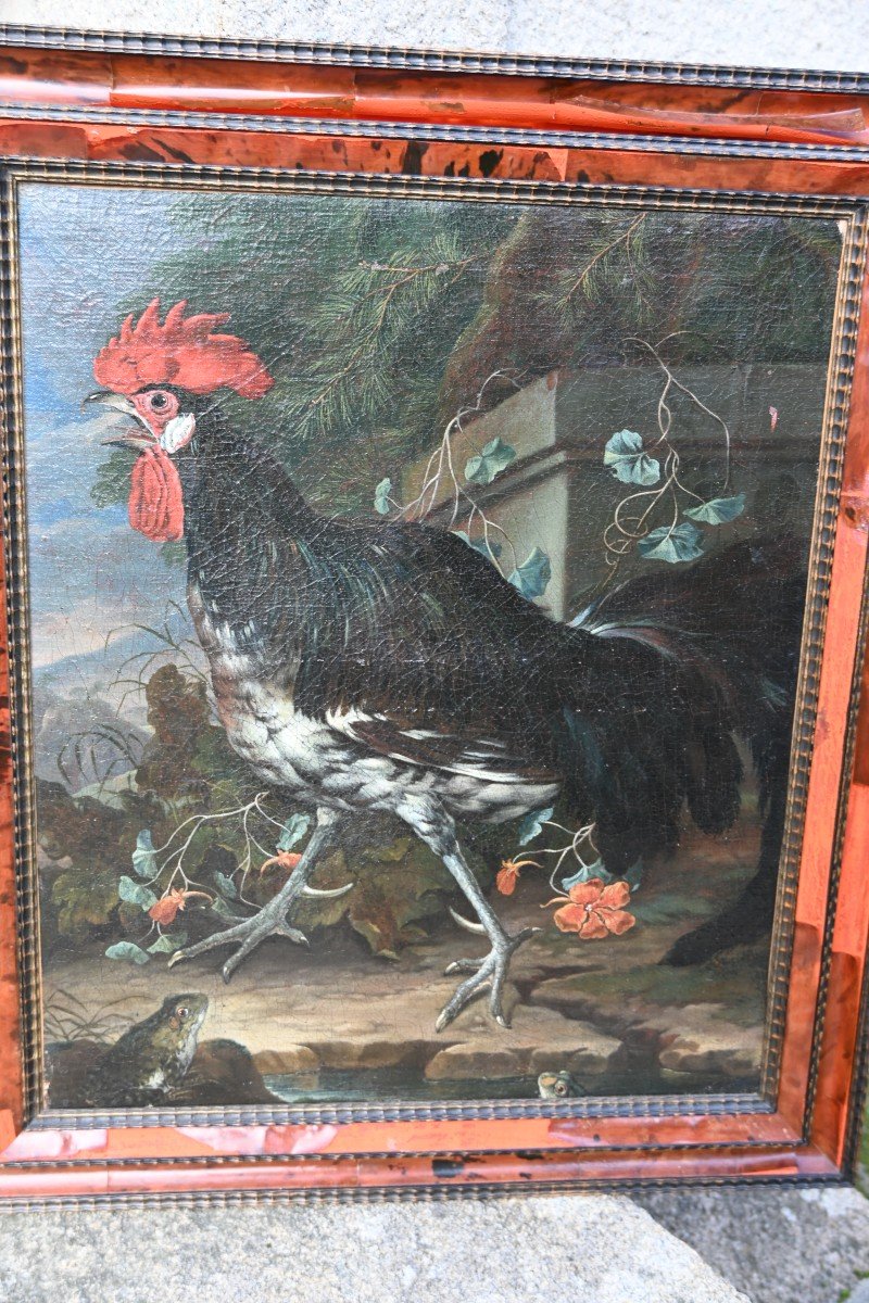 Hen And Rooster, Oils On Canvas, Attributed To David De Coninck XVII-photo-5