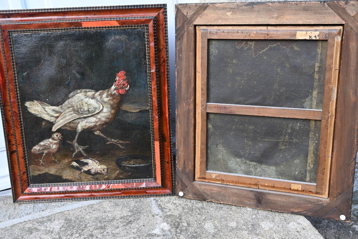 Hen And Rooster, Oils On Canvas, Attributed To David De Coninck XVII-photo-6