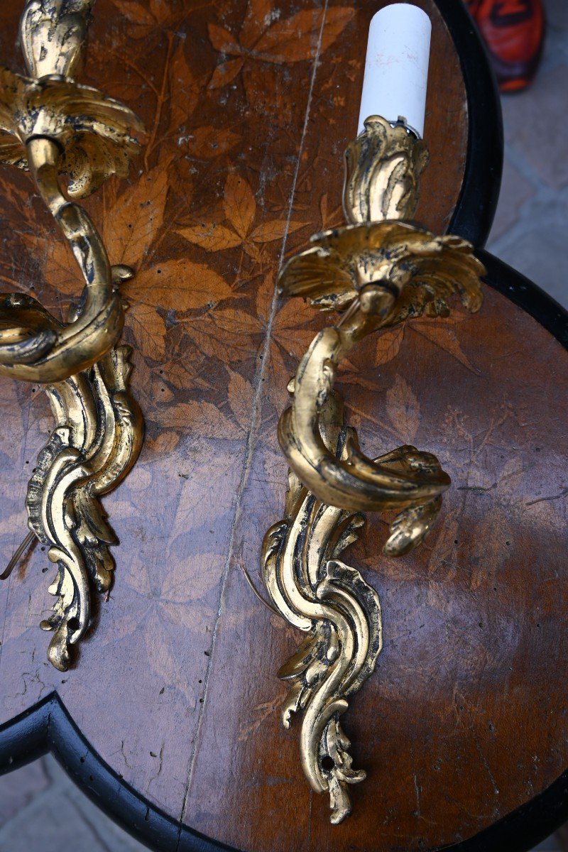 Pair Of Louis XV Style Bronze Single Arm Wall Lights, 19th Century-photo-5