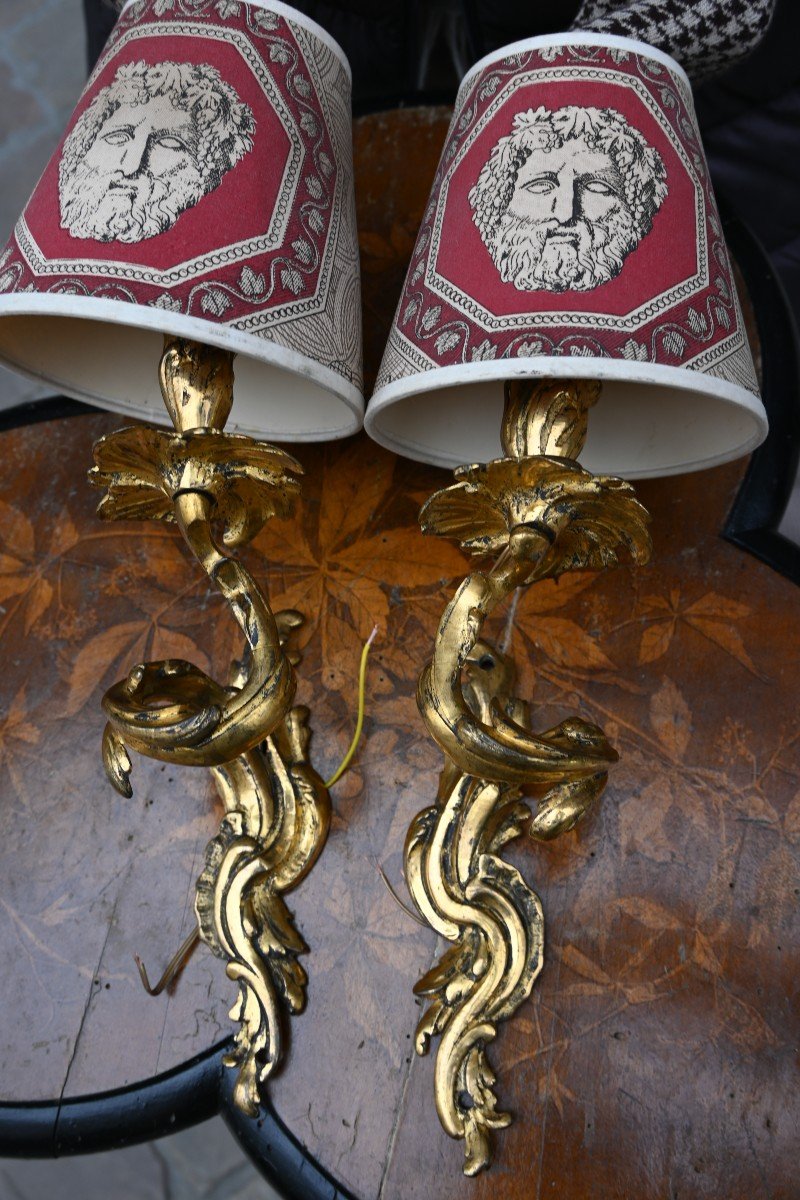 Pair Of Louis XV Style Bronze Single Arm Wall Lights, 19th Century