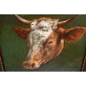 Etude De Tête  De Vache , Huile Signée De Peyrol Bonheur 