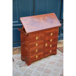 Louis XIV Violet Wood Changer Cabinet