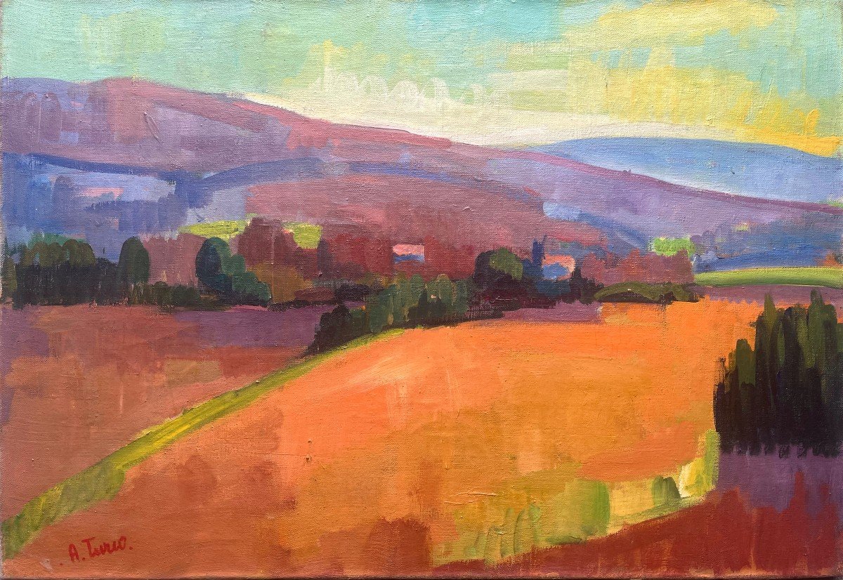 Paysage, Signé A Turco, XXe, Huile Sur Toile, 50x73 Cm, Sans Cadre