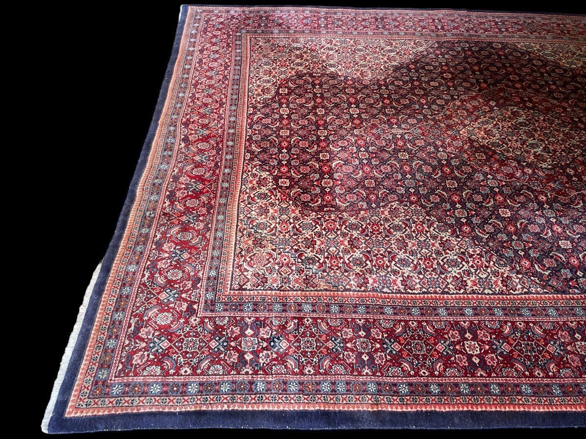 Large Senneh Wool Rug, Iran, 20thc. (271 X 382 Cm)-photo-3
