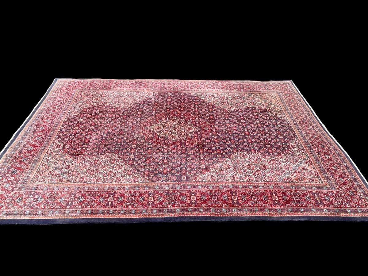 Large Senneh Wool Rug, Iran, 20th Century. (271 X 382 Cm)-photo-4