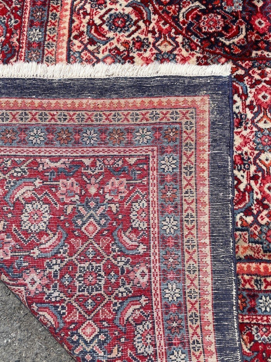 Large Senneh Wool Rug, Iran, 20th Century. (271 X 382 Cm)-photo-4