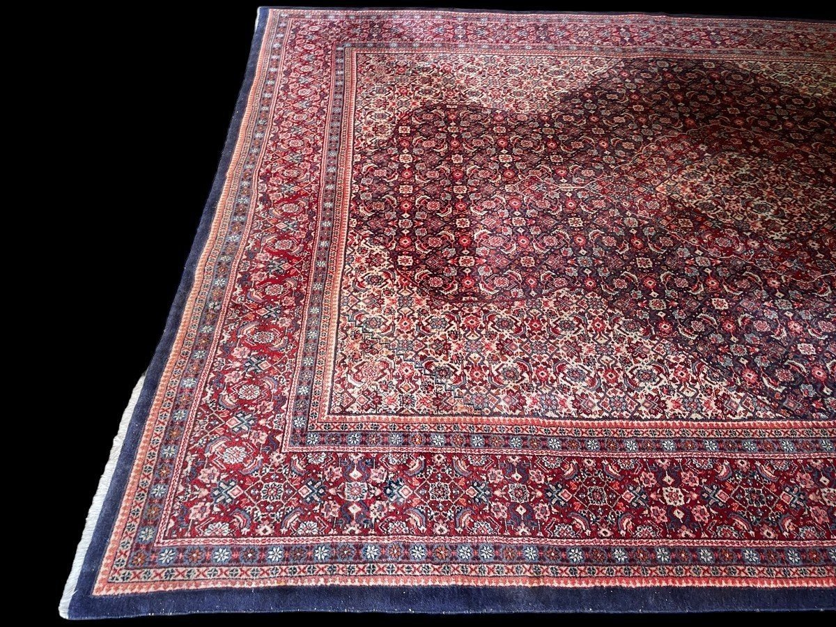 Large Senneh Wool Rug, Iran, 20th Century. (271 X 382 Cm)-photo-6