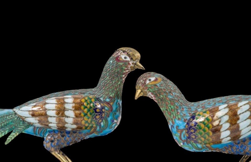 Pair Of Pheasants In Finely Worked Cloisonné Enamel , 20thc.-photo-4