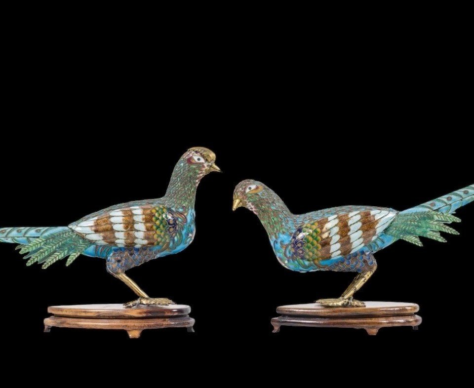 Pair Of Pheasants In Finely Worked Cloisonné Enamel , 20thc.-photo-6