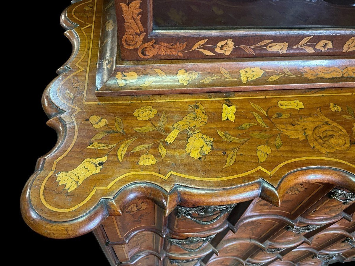 Elegant Marquetry Display Cabinet, Late 18th-early 19th Century.-photo-5