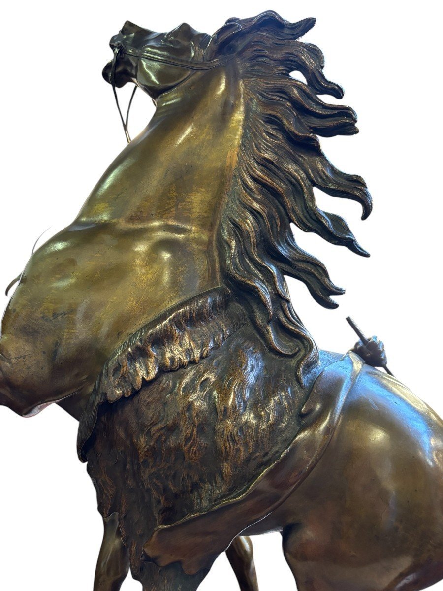 Bronze Sculpture By Guillaume Coustou “the Horse Of Marly” 19th Century.-photo-6