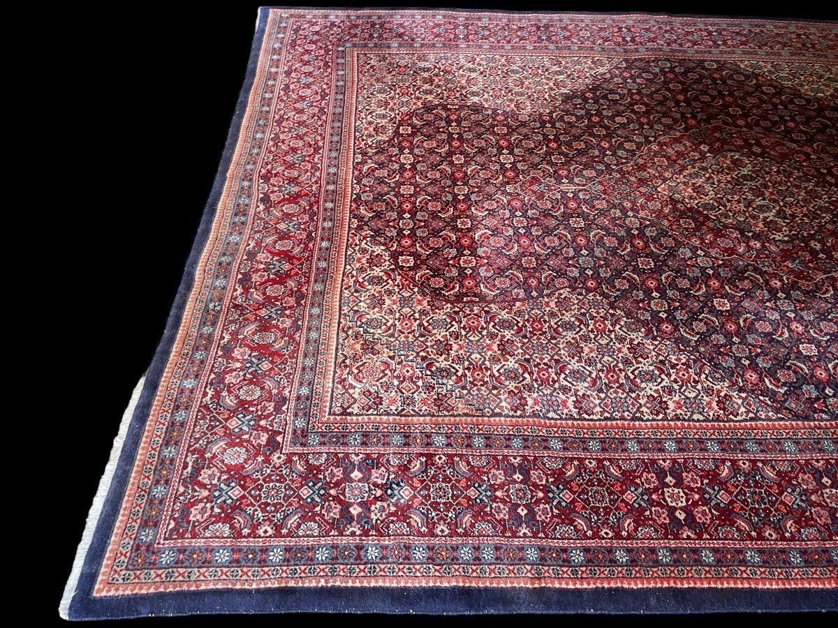 Grande Tapis Senneh En Laine, Iran, 20ème. ( 271 X 382 Cm )-photo-2