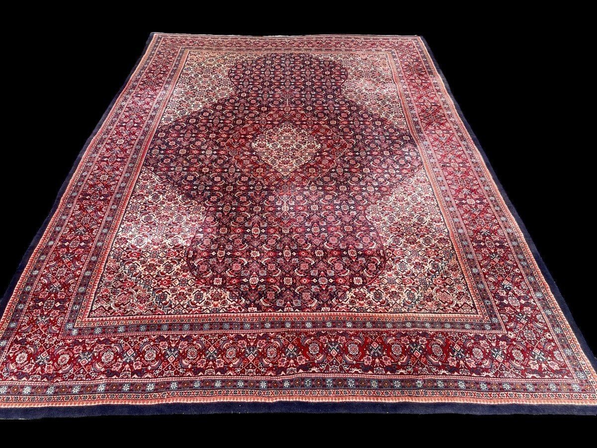 Grande Tapis Senneh En Laine, Iran, 20ème. ( 271 X 382 Cm )-photo-8