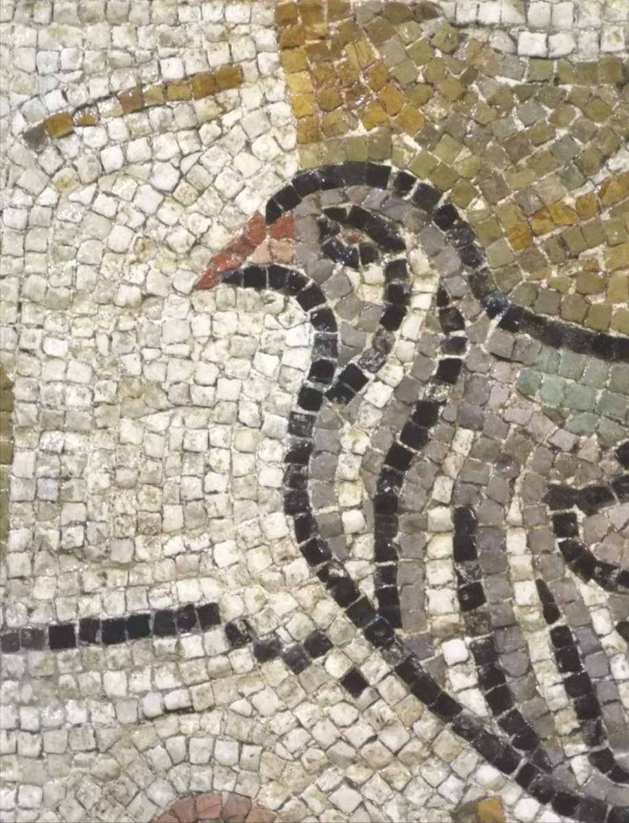 Proantic: Rare Roman Mosaic, 1st / 2nd Century.