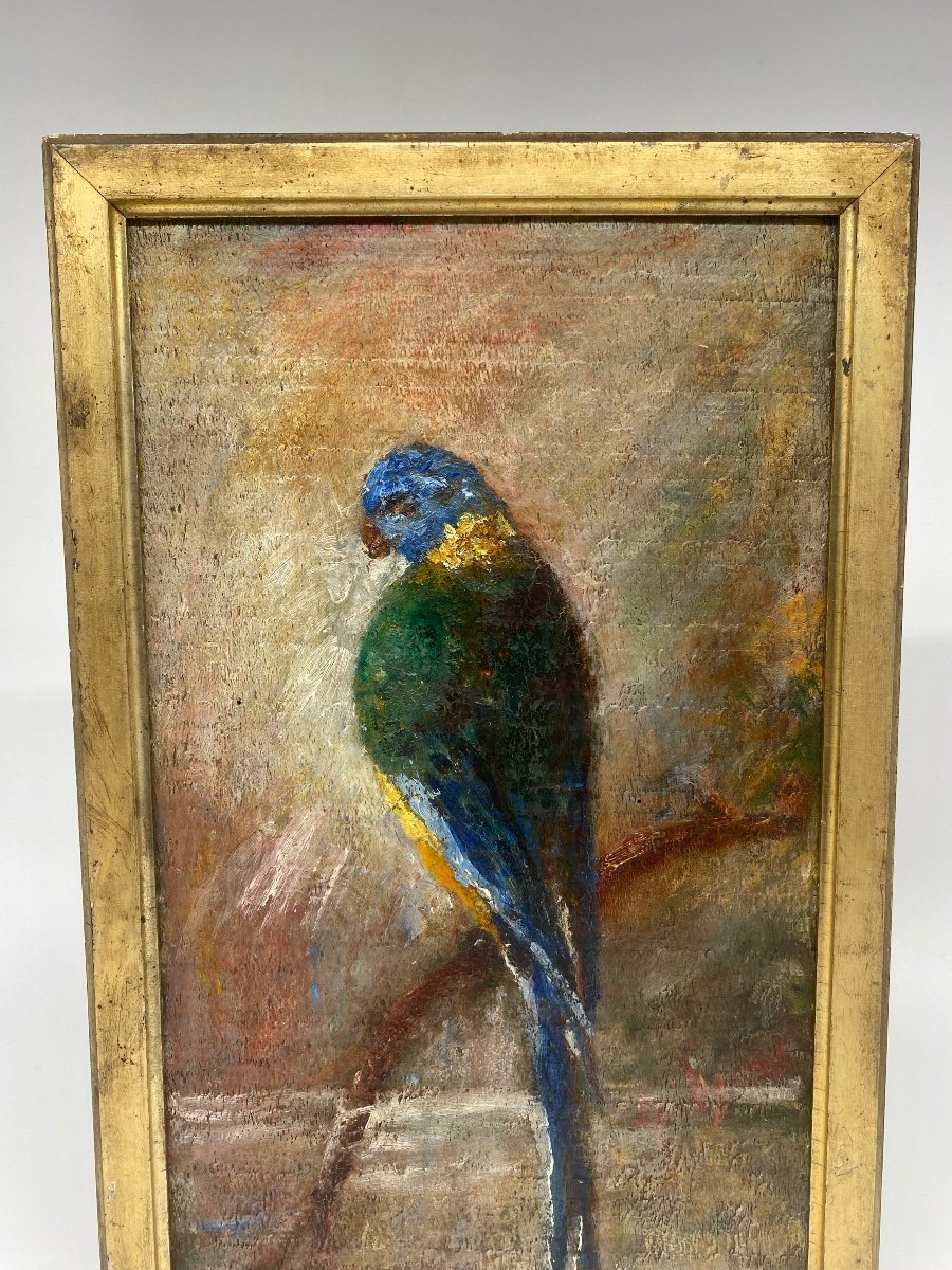 Oil On Panel: A Parakeet Perched On Its Branch-photo-2