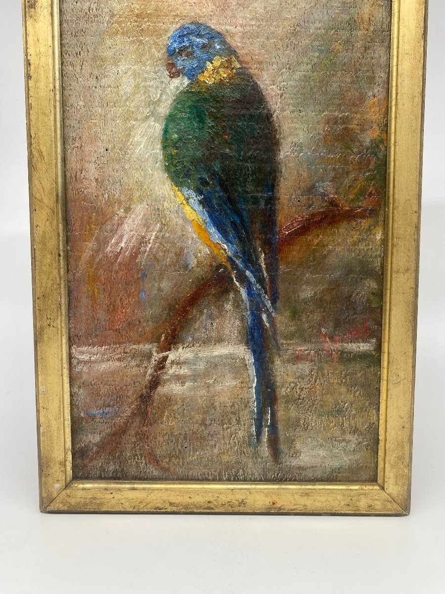 Oil On Panel: A Parakeet Perched On Its Branch-photo-3